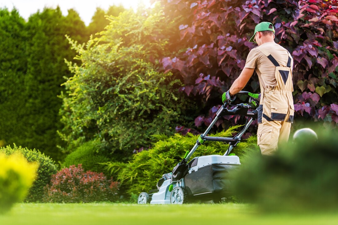 Man Mowing Grass with Lawn Mower